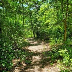 Photo #6 of 5.1+AC Lynn Lake Court, Barhamsville, Virginia 7.3 acres