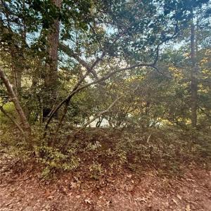 Photo #8 of 5.1+AC Lynn Lake Court, Barhamsville, Virginia 7.3 acres