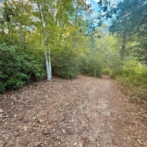 Photo #9 of 5.1+AC Lynn Lake Court, Barhamsville, Virginia 7.3 acres