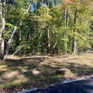 Photo #3 of 5353 RIDGEWOOD Hills, Williamsburg, Virginia 1.9 acres