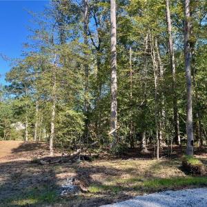 Photo #4 of 5353 RIDGEWOOD Hills, Williamsburg, Virginia 1.9 acres