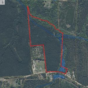 Wetlands Aerial
