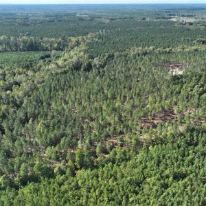 Photo #12 of 626. Manning. Drive, Valentines, Virginia 27.5 acres