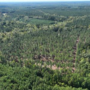 Photo #13 of 626. Manning. Drive, Valentines, Virginia 27.5 acres