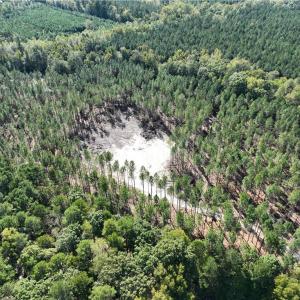 Photo #14 of 626. Manning. Drive, Valentines, Virginia 27.5 acres