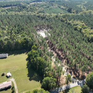 Photo #15 of 626. Manning. Drive, Valentines, Virginia 27.5 acres