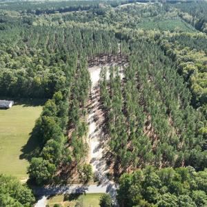 Photo #16 of 626. Manning. Drive, Valentines, Virginia 27.5 acres