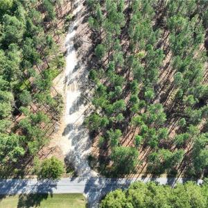 Photo #17 of 626. Manning. Drive, Valentines, Virginia 27.5 acres