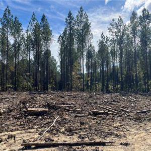 Photo #19 of 626. Manning. Drive, Valentines, Virginia 27.5 acres