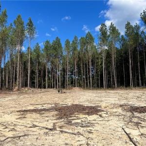 Photo #20 of 626. Manning. Drive, Valentines, Virginia 27.5 acres