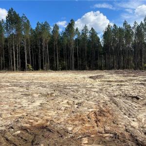 Photo #21 of 626. Manning. Drive, Valentines, Virginia 27.5 acres