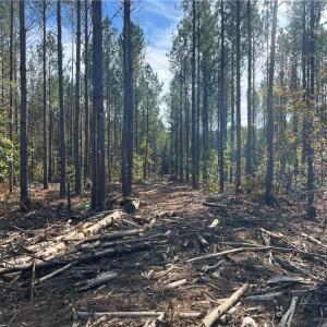 Photo #22 of 626. Manning. Drive, Valentines, Virginia 27.5 acres