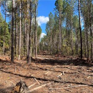 Photo #24 of 626. Manning. Drive, Valentines, Virginia 27.5 acres