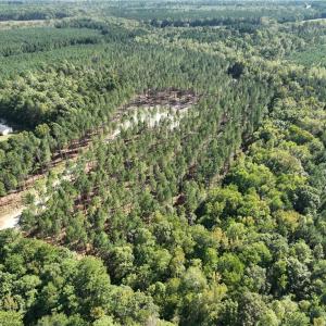 Photo #8 of 626. Manning. Drive, Valentines, Virginia 27.5 acres