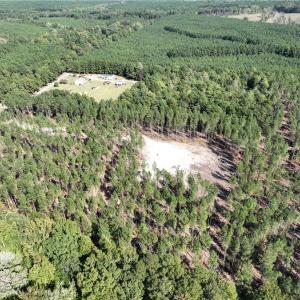 Photo #10 of 626. Manning. Drive, Valentines, Virginia 27.5 acres