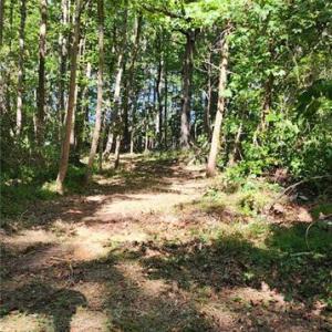 Photo #1 of Wise Lane, Mattaponi, Virginia