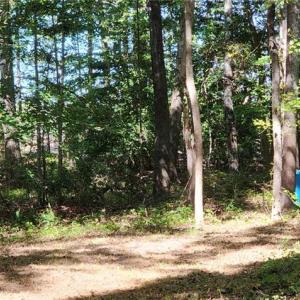 Photo #3 of Wise Lane, Mattaponi, Virginia