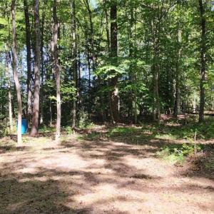 Photo #4 of Wise Lane, Mattaponi, Virginia