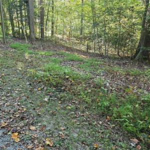 Photo #3 of 5.71ac New Upton Farms Lane, Gloucester, Virginia 5.7 acres