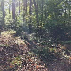 Photo #2 of 5.71ac New Upton Farms Lane, Gloucester, Virginia 5.7 acres