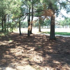 Photo #11 of 211 Blue Heaven Road, Cape Charles, Virginia 0.2 acres