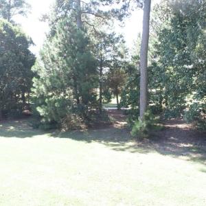 Photo #20 of 211 Blue Heaven Road, Cape Charles, Virginia 0.2 acres