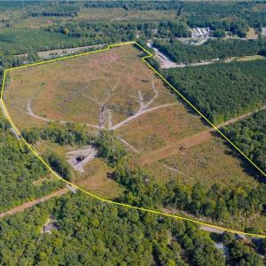 Photo #12 of 75+ac Piney Swamp Road, Gloucester, Virginia 75.8 acres