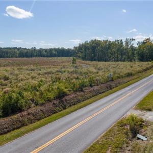Photo #17 of 75+ac Piney Swamp Road, Gloucester, Virginia 75.8 acres