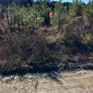 Photo #4 of Lot 9 Saw Mill Lane, Gloucester, Virginia 5.3 acres