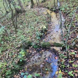 Photo #6 of 16.4ac Plainview Drive, Saluda, Virginia 16.4 acres