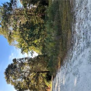Photo #9 of 16.4ac Plainview Drive, Saluda, Virginia 16.4 acres