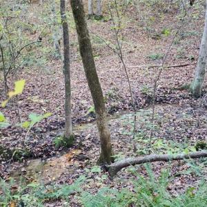 Photo #4 of 16.4ac Plainview Drive, Saluda, Virginia 16.4 acres