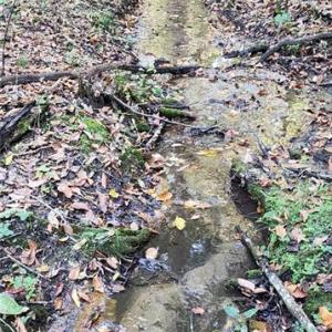 Photo #5 of 16.4ac Plainview Drive, Saluda, Virginia 16.4 acres