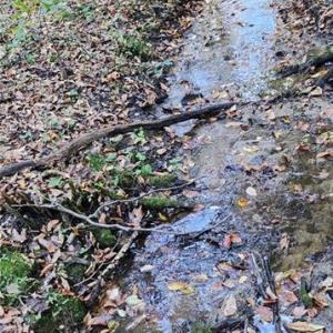 Photo #8 of 16.4ac Plainview Drive, Saluda, Virginia 16.4 acres