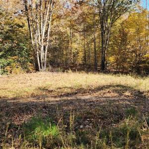 Photo #11 of 16.4ac Plainview Drive, Saluda, Virginia 16.4 acres