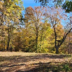 Photo #13 of 16.4ac Plainview Drive, Saluda, Virginia 16.4 acres