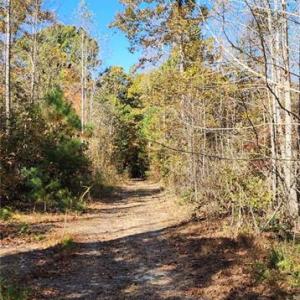 Photo #15 of 16.4ac Plainview Drive, Saluda, Virginia 16.4 acres