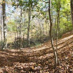 Photo #16 of 16.4ac Plainview Drive, Saluda, Virginia 16.4 acres