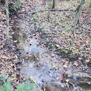 Photo #7 of 16.4ac Plainview Drive, Saluda, Virginia 16.4 acres