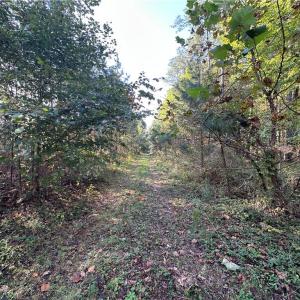 Photo #2 of 16.4ac Plainview Drive, Saluda, Virginia 16.4 acres