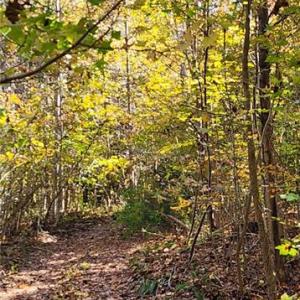 Photo #12 of 16.4ac Plainview Drive, Saluda, Virginia 16.4 acres