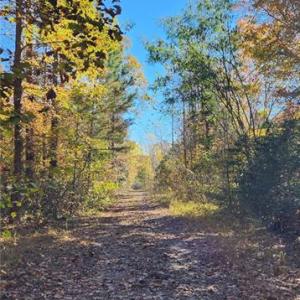 Photo #17 of 16.4ac Plainview Drive, Saluda, Virginia 16.4 acres