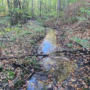 Photo #3 of 16.4ac Plainview Drive, Saluda, Virginia 16.4 acres
