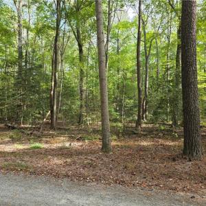 Photo #3 of Bermuda Road Road, Lancaster, Virginia 1.3 acres