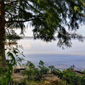 Photo #21 of 1540 Harbor Road, Williamsburg, Virginia 0.4 acres