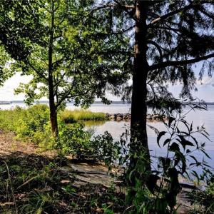 Photo #22 of 1540 Harbor Road, Williamsburg, Virginia 0.4 acres