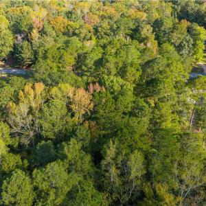Pretty trees on level lot.