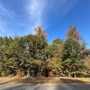 Photo #4 of 208 Monifieth, Williamsburg, Virginia 0.5 acres