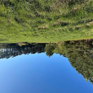 Photo #8 of 950 Beach Road, Hampton, Virginia 5.1 acres