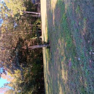 Photo #2 of .26+AC Cove Road, Hayes, Virginia 0.5 acres